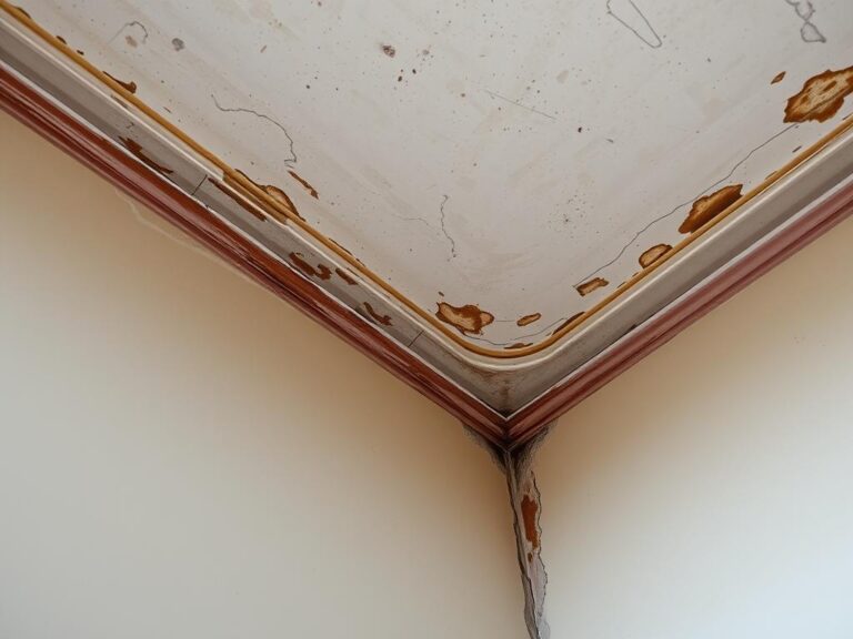 Zaokrąglony narożnik między ścianą a sufitem w starym budownictwie